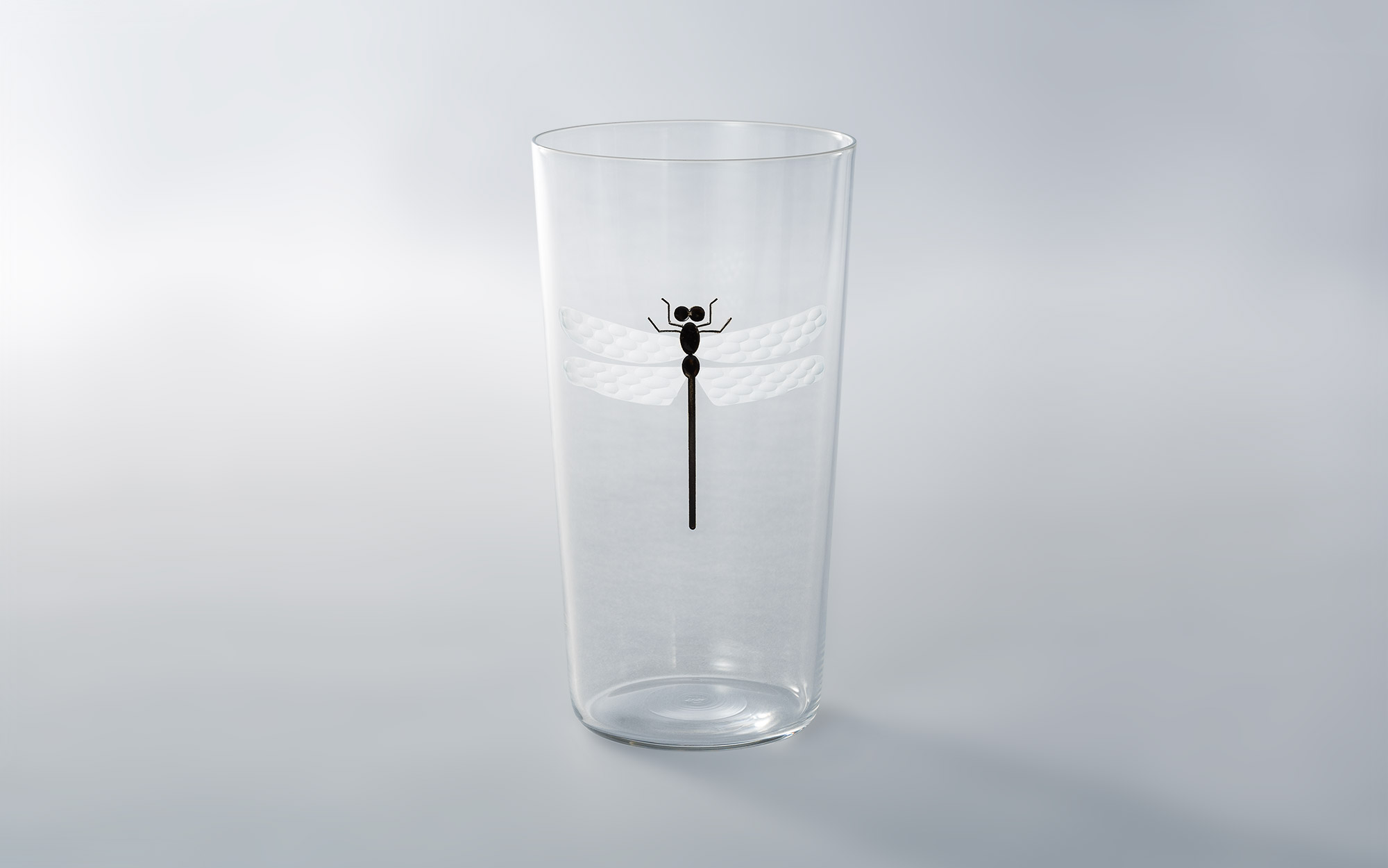 1_frozen_dragonfly