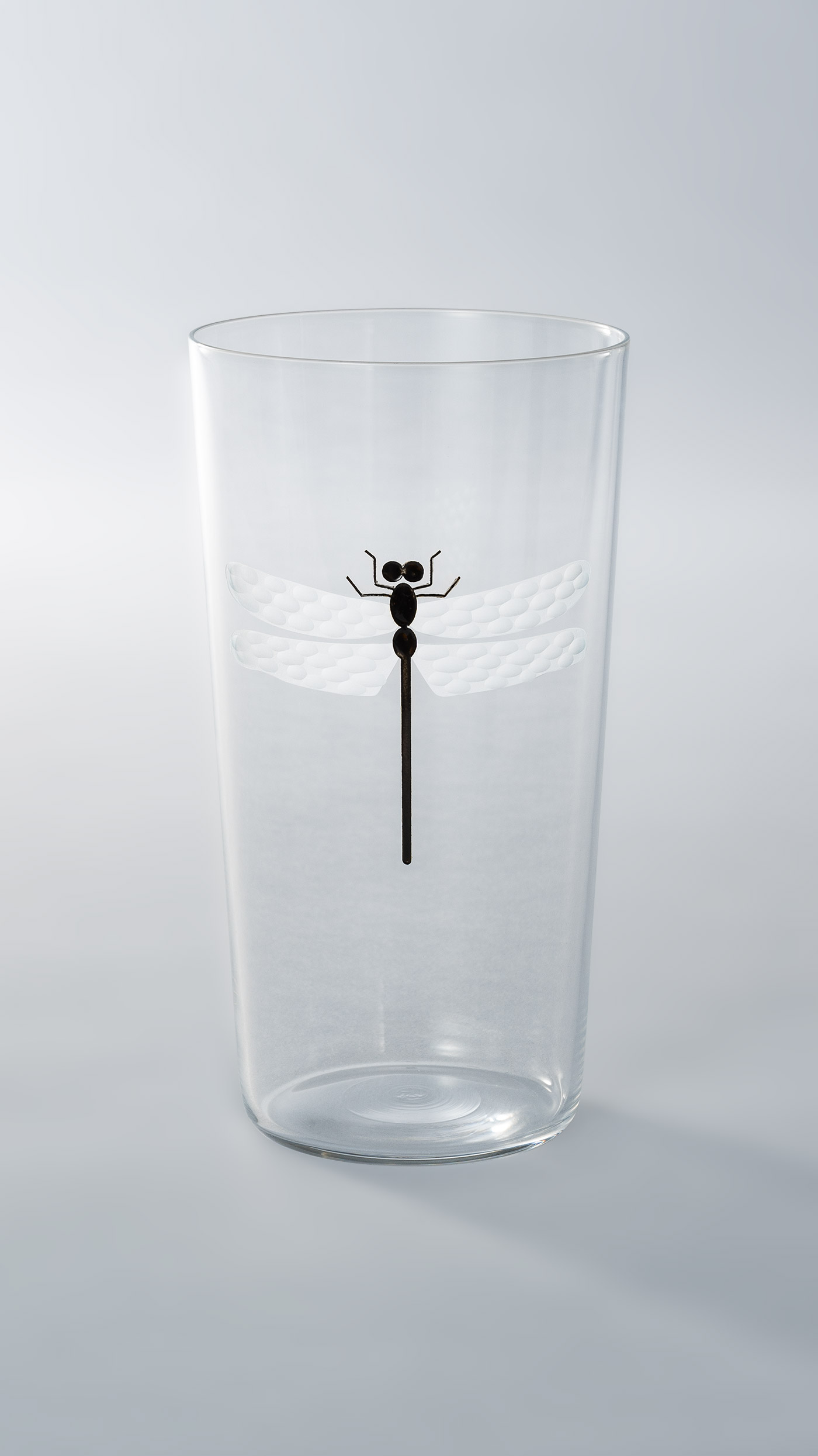 1_frozen_dragonfly